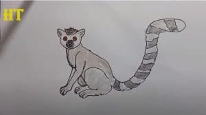 How To Draw A Lemur Easy Step By Step