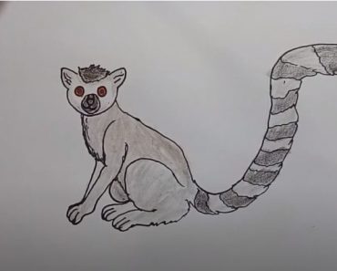 How To Draw A Lemur Easy Step By Step