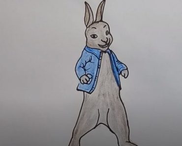 How To Draw A Peter Rabbit Easy Step By Step