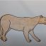 How To Draw A Puma Easy Step By Step