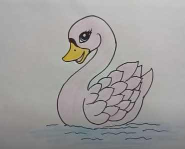 How To Draw A Swan Cute Step By Step