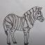 How To Draw A Zebra Horse Easy Step By Step