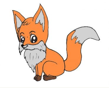 How To Draw a Baby Fox Easy Step By Step
