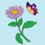 How To Draw A Aster Flower Easy Step By Step