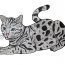 How To Draw A Bengal Cat Step By Step