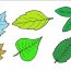 How To Draw A Leaf Step By Step Easy Step By Step