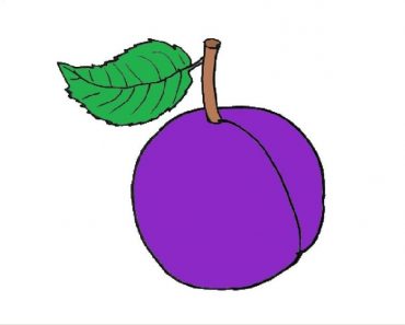 How To Draw A Plum Step By Step
