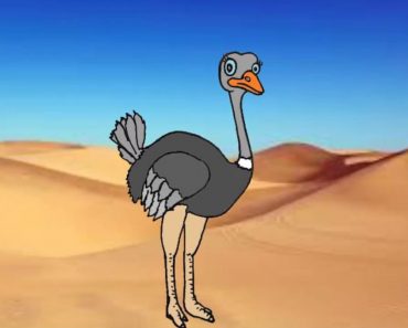 How To Draw An Ostrich Cut Step By Step