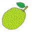 How To Draw Jackfruit Easy Step By Step