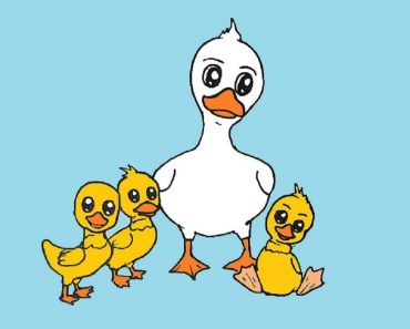 How To Draw Mother Duck Easy