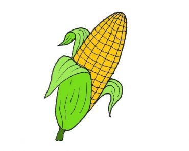 How To Draw Roasted Corn Easy StepBy Step