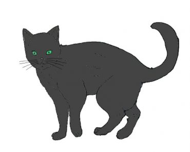 How To Draw A Black Cat Easy Step By Step
