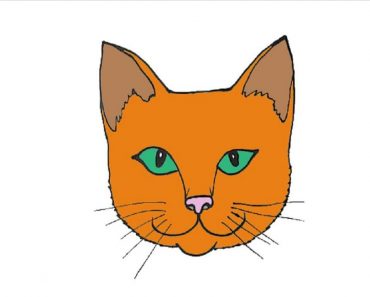 How To Draw A Cat Face Easy