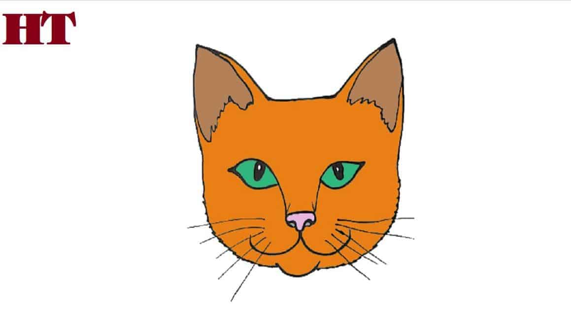 How To Draw A Cat Face Easy Animal drawing step by step