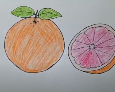 How To Draw A Grapefruit Easy Step By Step