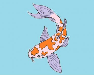 How To Draw A Koi Fish Step By Step