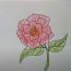 How To Draw A Peony Flower Easy Step By Step