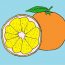 How To Draw An Orange Slice