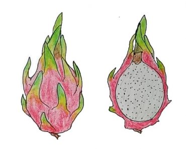 How To Draw Dragon Fruit Easy Step By Step