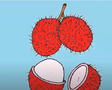 How To Draw Rambutan Fruit Easy Step By Step