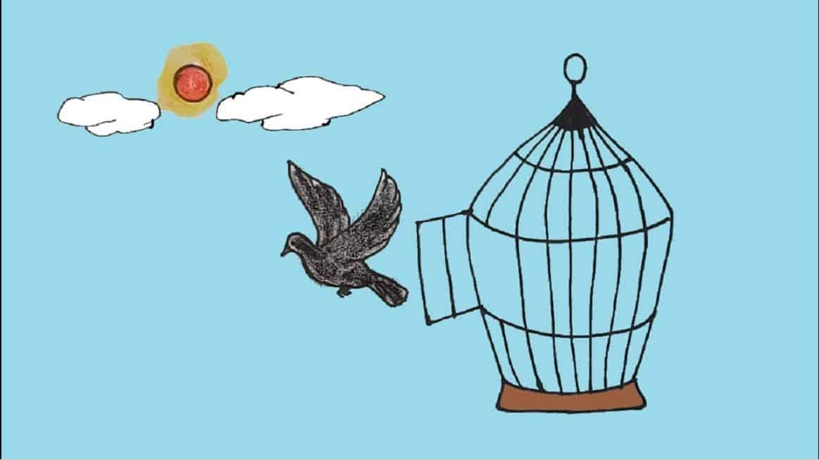 How to draw a bird Step By Step Draw a bird escaping from a cage easy