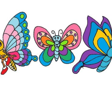 How to draw a butterfly easy