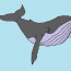 How to draw a humpback whale step by step