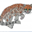 How to draw a ocelot step by step