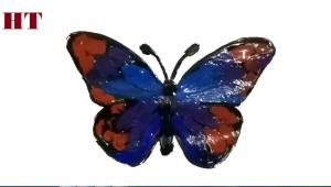 How to paint a butterfly easy step by step