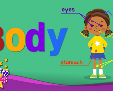 Parts of the Body Song