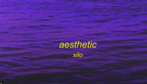 “Aesthetic” by Silo