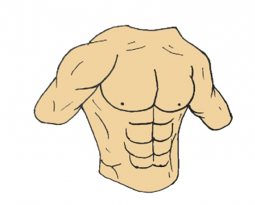 How to Draw Abs step by step