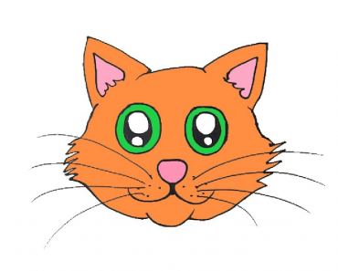 How to draw a cartoon cat face