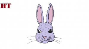 How to draw a rabbit face