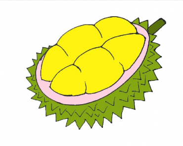 How to draw durian step by step