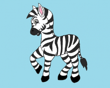 How to draw a Cartoon Zebra Step by Step