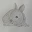 How to draw a Rabbit with Pencil step by step