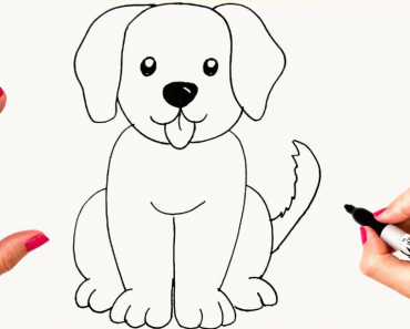 How to Draw a cute Dog Step by Step