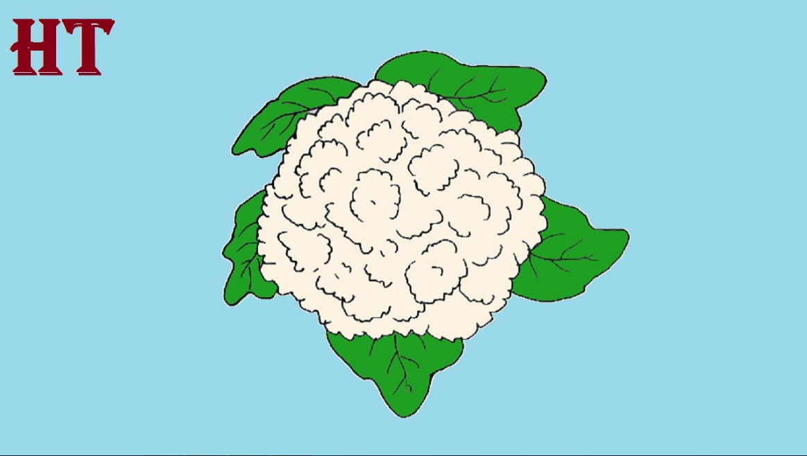 How to draw Cauliflower step by step Easy Vegetables drawing