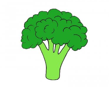 How to draw a Broccoli step by step