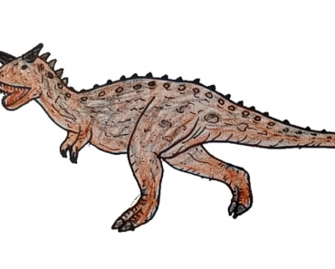 How to draw a Carnotaurus Step by Step