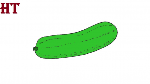 How to draw a Cucumber Step by step