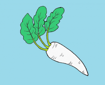 How to draw a Radish Step by Step