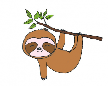 How to draw a cute Sloth step by step