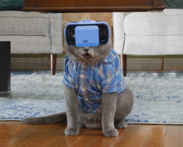 Cats use VR