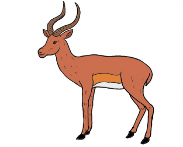 How to Draw an Impala Step by Step