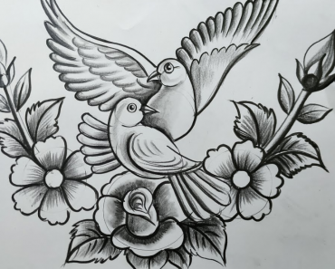 How to draw pigeons and flowers
