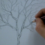 How to draw tree trunk and branches step by step
