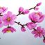How to draw cherry blossom step by step