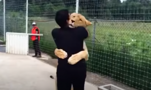 Reunion between humans and animals 